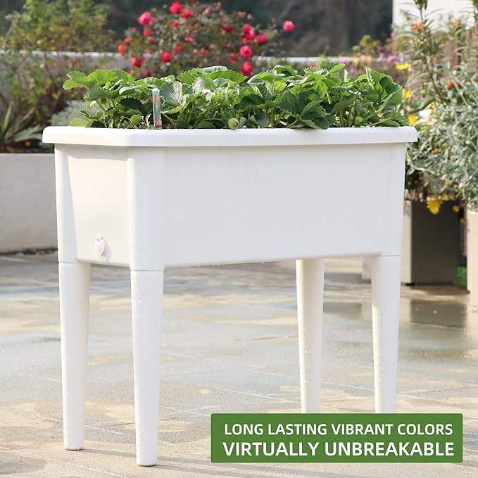 Dexceder 13.2 Gallon Self Watering Raised Garden Bed with Ventilation Transparent Lid Greenhouse, Deepen Vegetable Flower Box Planter Pot with Removeble Legs & Water Level Indicator (White)