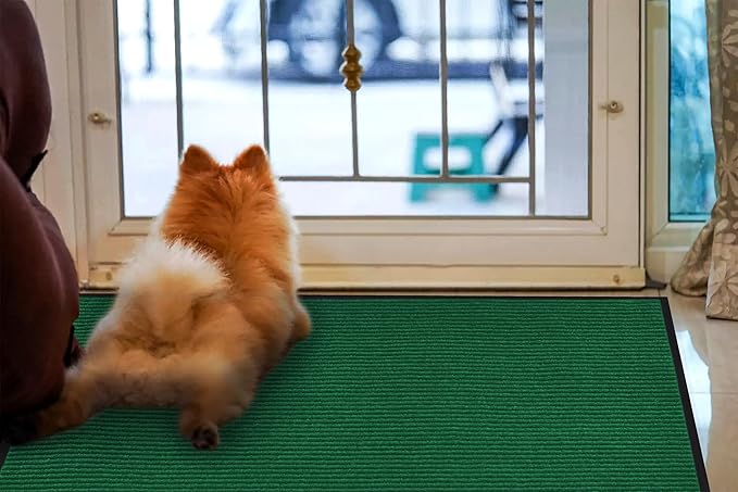 fani Heavy Duty Large Outdoor Indoor Entrance Doormat Grass Green Waterproof Low Profile Entrance Rug Front Door Mat Patio Anti-Skid Rubber Back, 31x47 inch (Grass Green)