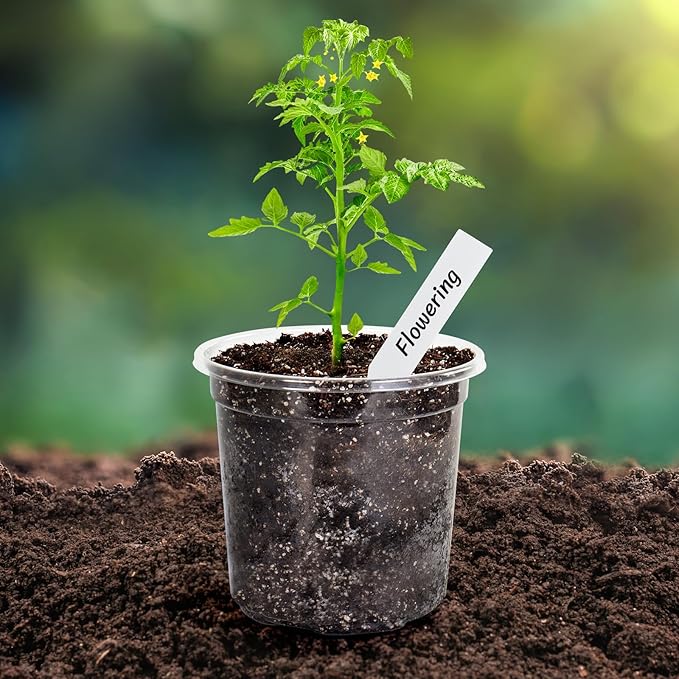 Bonviee Nursery Pots for Plants, 30-Pack 5-Inch Plastic Seedling Pots with Drainage Holes, and 10 Plant Labels, Ideal for Seed Starters and Flowers -Clear