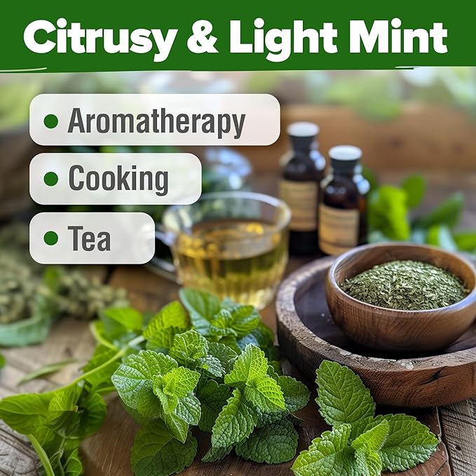 HOME GROWN π¨π¦π π£π₯ππ ππ¨π Lemon Balm Seed Pack - 403 Non-GMO USA Heirloom Herbal Tea Seeds - Bulk Lemon Balm Seeds for Planting Gardens Indoors or Outdoors - Herb Seeds (Melissa officinalis)