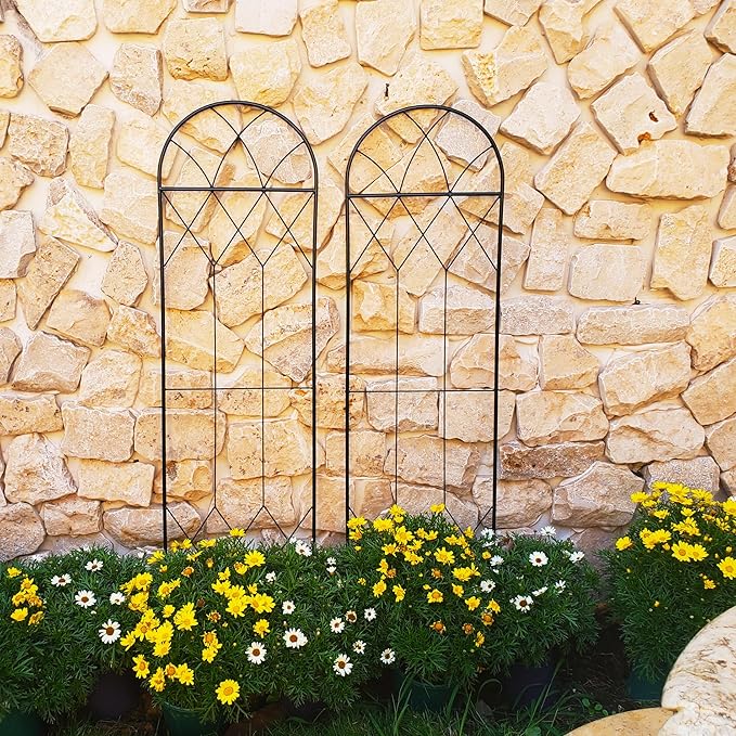 Garden Trellis for Climbing Plants Outdoor 2 Pack 59" H x 15.9" W Unique Design Metal Trellis for Cucumber, Tomatoes, Vines, Flower Beds, Roses - Rust Proof Iron