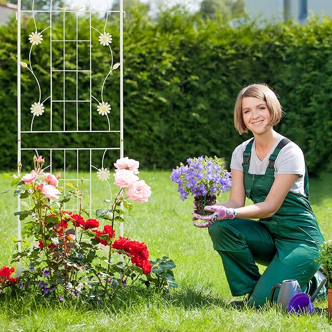 LZRS 4 Pack 71x20in Rustic Iron Arch Decoration Garden Trellis with Black Metal Coating โ Perfect for Supporting Climbing Plants Outdoor, Roses, Vines, Flowers, and Vegetables.