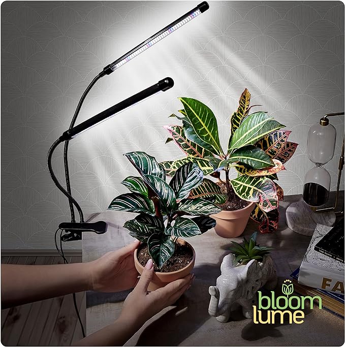 Bloom Lume LED Grow Lights for Indoor Plants Full Spectrum - Features Multi-Mode Color Spectrums, Dimmable, Auto Timer, Clip on Goosneck Plant Lamp