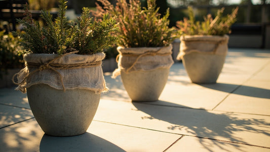 How to Gift Plants Beautifully This Holiday Season