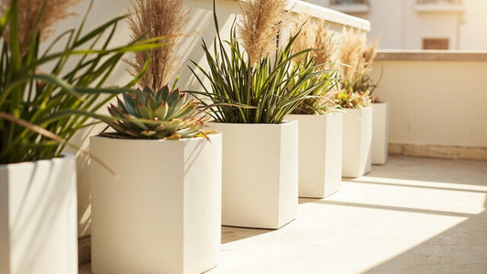 Minimalist Planter Styling for Small Homes