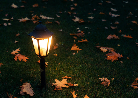 Warm Glow Wonders: Outdoor Lighting Ideas for Fall Nights