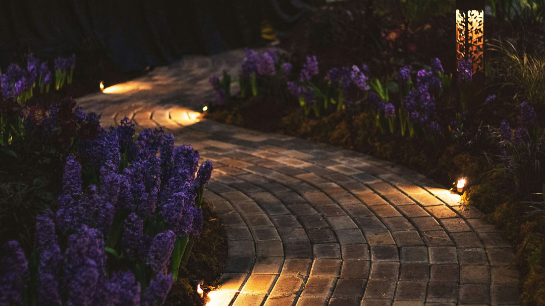 Pathway Lighting Tips to Elevate Your Garden Walks