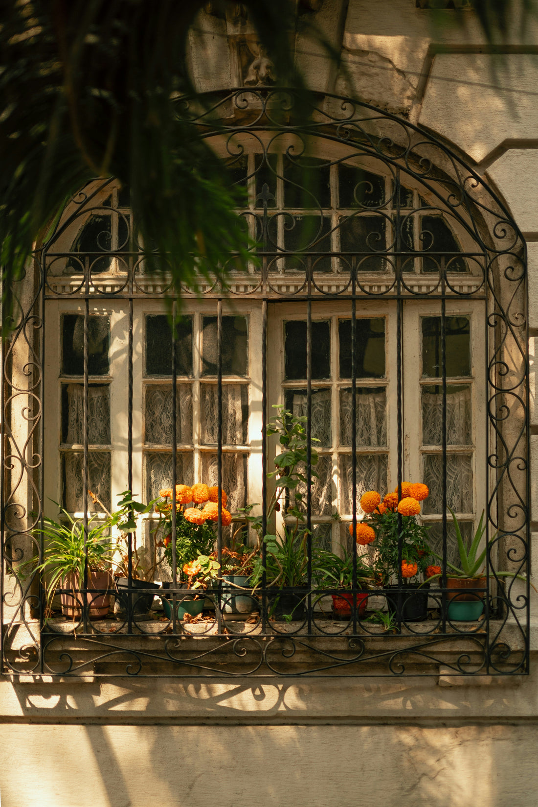 5 Ways to Style Your Balcony Garden for Autumn