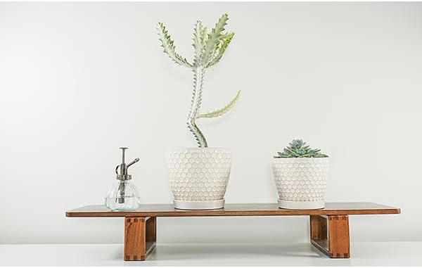 Docrin Ceramic Plant Pots Indoor: 6.6 + 5.5 Inch Planters with Drainage Holes and Saucer for Home/Office - Set of 2 /Milky White Honeycomb