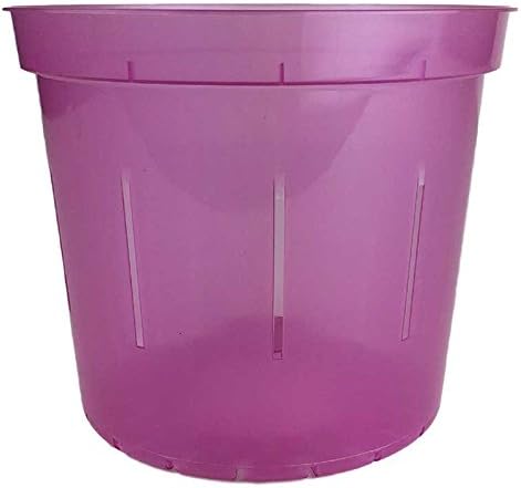 rePotme 6" Slotted Clear Orchid Pots 3 Pack (Rose Quartz)