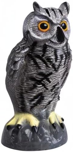 Galashield Owl Decoy to Scare Birds Away | Plastic Owls to Scare Birds Away | Owl Statue for Garden & Outdoors