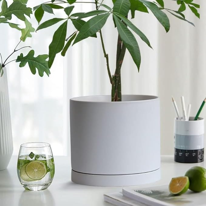 2 Pack Ceramic Plant Saucer Pot Tray 8 Inch, Planter Saucers 4 5 6 7 8 9 10 11 12 Inch for Indoors Outdoor, Durable Sturdy Flower Drainage Tray for Glazed Pots Base (8.5 Inch White)