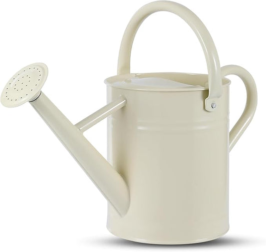 1 Gallon Watering Can for Plants, Watering Cans for Indoor&Outdoor Gardening, Galvanized Steel Watering Pot with Removable Spout, Metal Water Can with Ergonomic Movable Handle(White)
