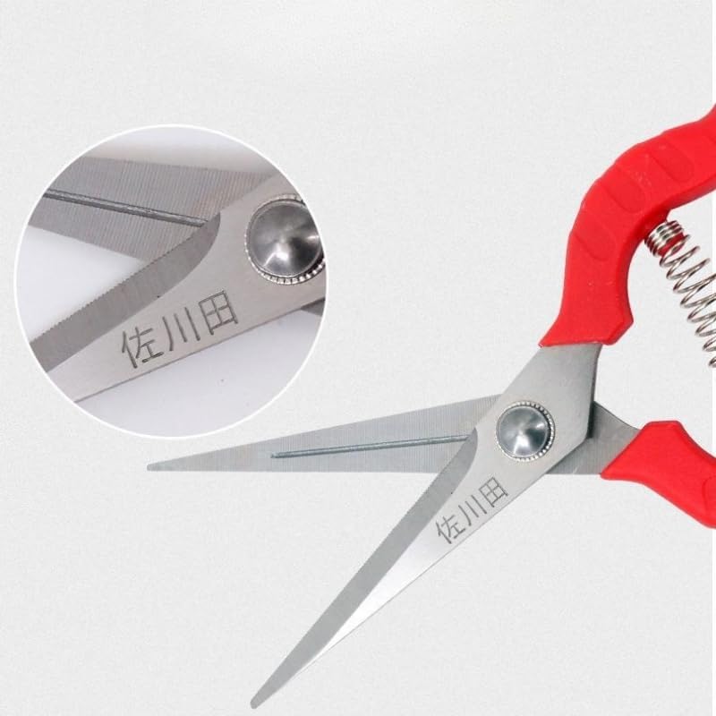 Extra Short Edge Stainless Steel Pruning Shears Fruit Trees Bonsai Sharp Garden Scissors Tool