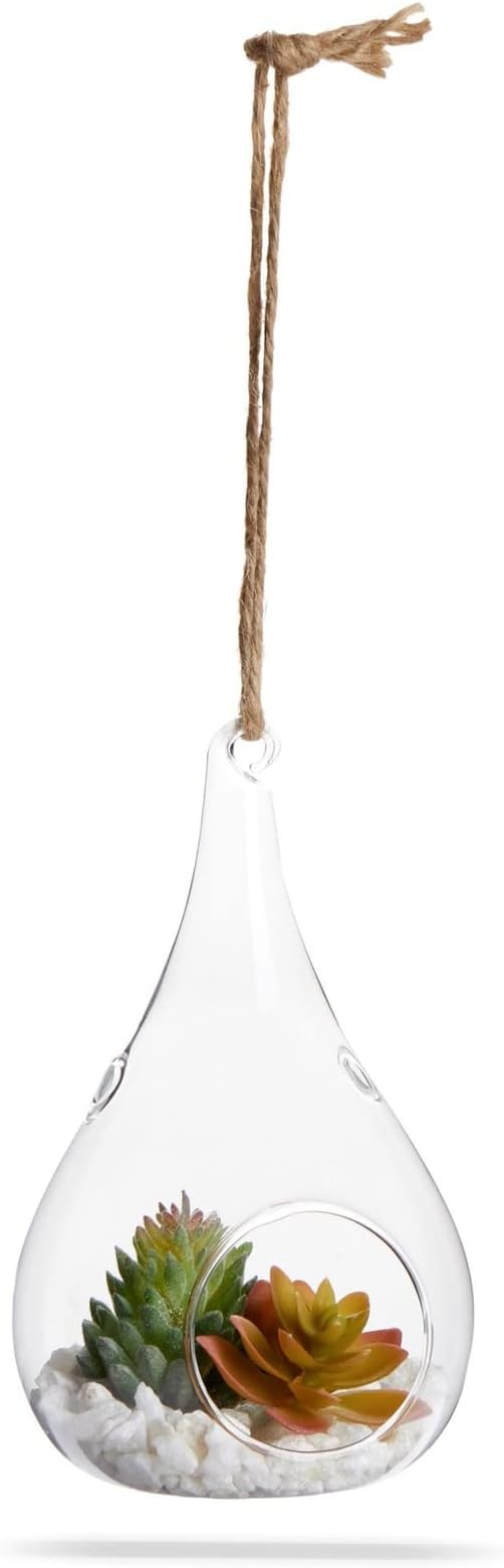 Juvale 5-Pack Hanging Glass Terrarium Containers - Air Plant Holder, Succulent Planter, Tea Light Candle Hangers (3.5x5 in)