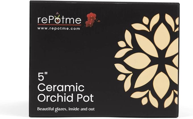 rePotme 5 inch Floral Cutout Ceramic Orchid Pot (Honey Cream Over Coffee)