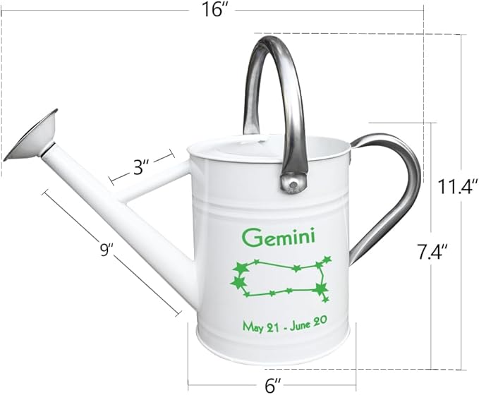 Metal Watering Can for Outdoor and Indoor Plants, Watering Can Decor, 1 Gallon (Gemini)