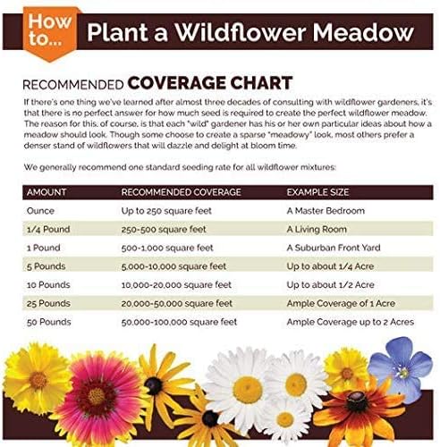 Dirt Goddess Super Seeds ~ Annual Gaillardia Seeds, Indian Blanket Flower -Gaillardia pulchella (1/4 Lb) 56,250 Seeds Non GMO Bulk