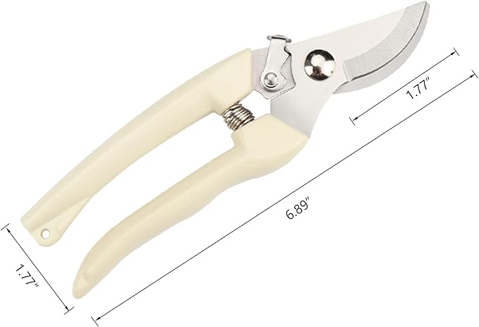 Garden Scissors for Plant, Tip Pruning Shears for Cutting Flowers, Trimming Plants, Bonsai and Fruits Picking (2 PC Bypass Blade Pruner)