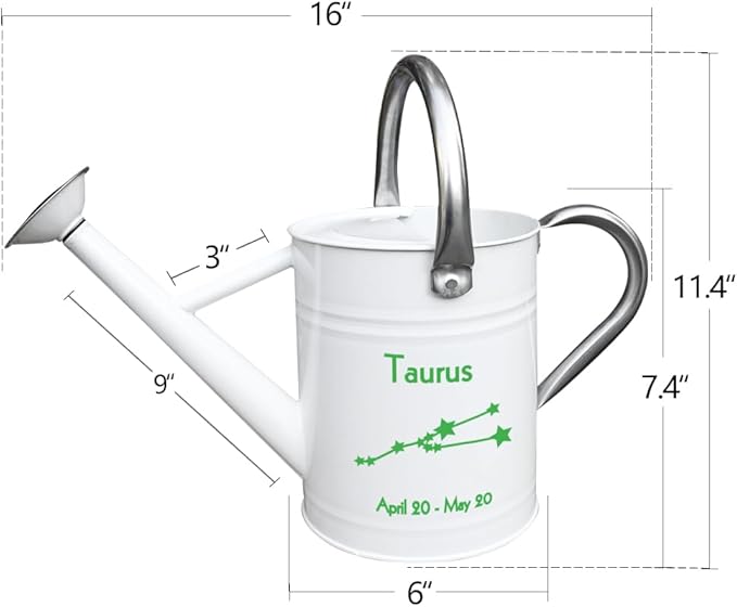 Metal Watering Can for Outdoor and Indoor Plants, Watering Can Decor, 1 Gallon (Taurus)