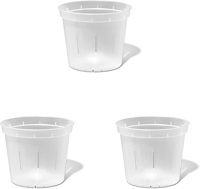 rePotme Orchid Pot - 6 inch Slotted Clear Orchid Pots - 3 Pack (Crystal Clear)