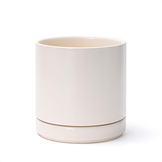 D'vine Dev 6 Inch Ceramic Planter Pot with Drainage Hole and Saucer, Indoor Cylinder Round Planter Pot, Oatmeal, 94-O-C-8