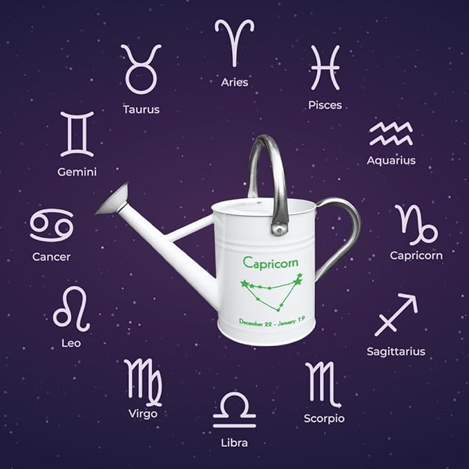 Metal Watering Can for Outdoor and Indoor Plants, Watering Can Decor, 1 Gallon (Capricorn)