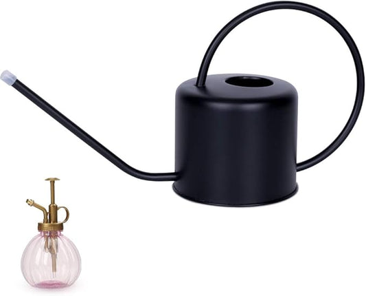 Remiawy Watering Can Indoor Outdoor Stainless Steel Watering Cans for House Plants Long Spout Water Can for Succulent Bonsai Garden Flower(40oz/1300ml)