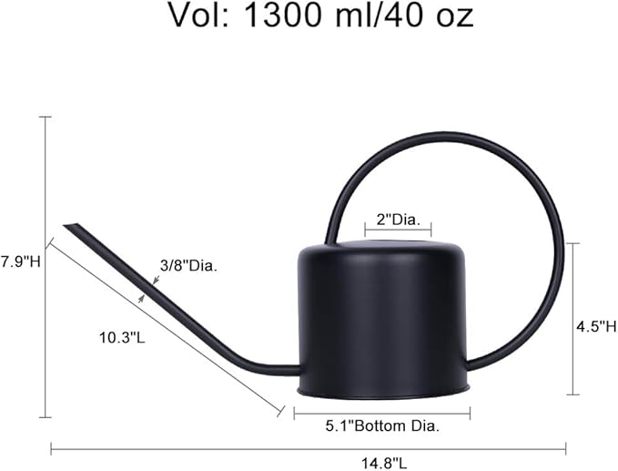 Remiawy Watering Can Indoor Outdoor Stainless Steel Watering Cans for House Plants Long Spout Water Can for Succulent Bonsai Garden Flower(40oz/1300ml)