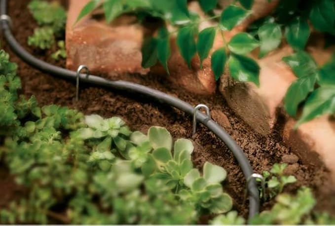 Rocky Mountain Goods Drip Irrigation Tubing - Heavy Duty Blank Drip Hose Ready for Custom Drip Irrigation Setup - Works with 1/4” Barbed Fittings - Black PVC - Easy to Use (100 Foot 1/4")