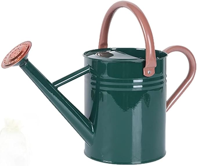 Metal Watering Can for Outdoor and Indoor Plants, Watering Can Decor, 1 Gallon (NewGreen)