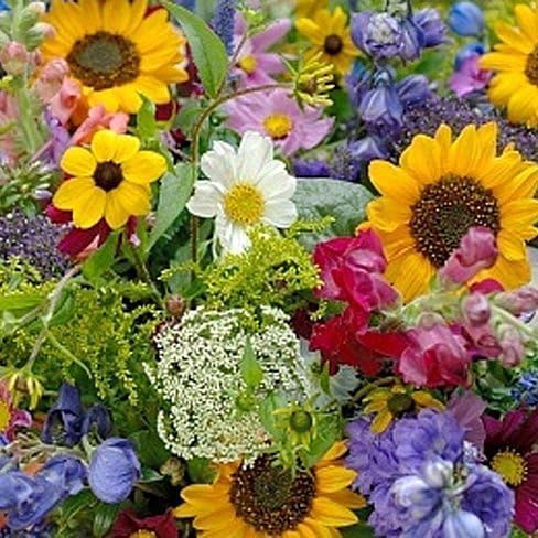 Dirt Goddess Super Seeds ~ Cut Flower Mix Seed (1 Lb)