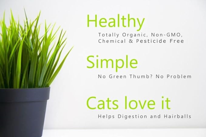 Simple Cat Grass Blend | 100% US Organic + 4 Popular Seeds | Wheat, Barley, Oats, Rye Mix Combo | Show Your Love with a Healthy Pet Snack Treat (6 Ounce ~4800 Seeds)
