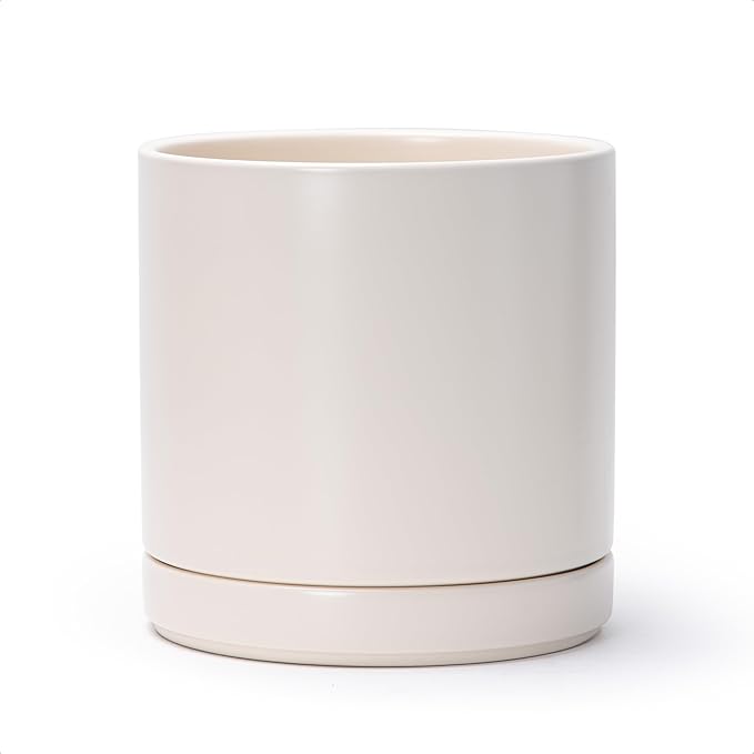 D'vine Dev 8 Inch Ceramic Planter Pot with Drainage Hole and Saucer, Indoor Cylinder Round Planter Pot, Oatmeal, 94-O-D-8