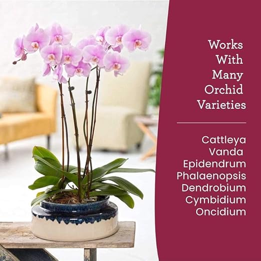 Orchid Fertilizer Spray – Nourishing Liquid Plant Food Mist for Healthy Orchids – Easy-to-Use Nutrient Boost for Vibrant Blooms & Healthy Roots – Made in USA – 8 oz