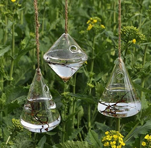 Glass Hanging Planters Indoor Outdoor Plant Pots Water Plant Containers Flower Pots Glass Terrariums Wall Vases 3 Pieces
