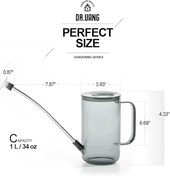 Small Watering Can Indoor Plants with Long Spout (1L, Gray)