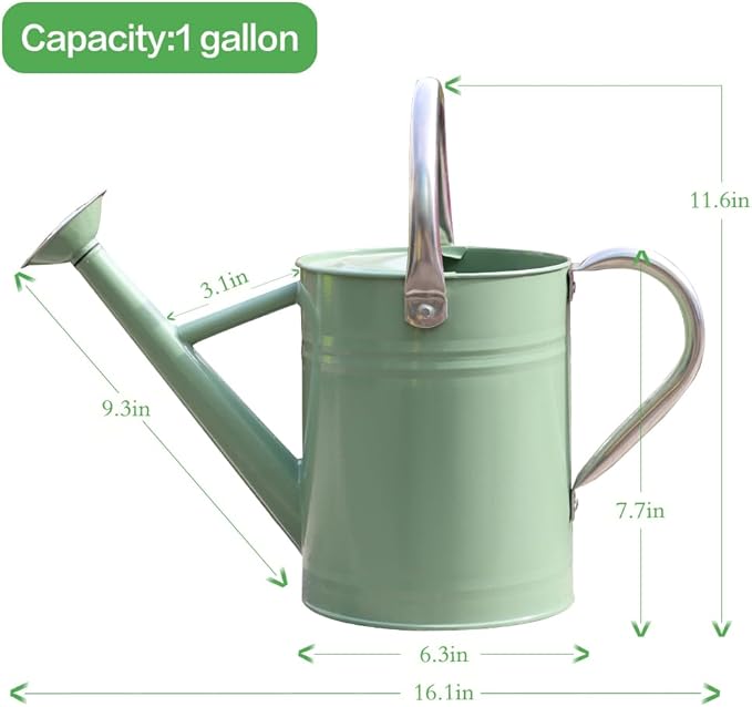 Metal Watering Can, One Gallon Watering Cans Stainless Steel for Outdoor Indoor Garden Plants Watering (Cream Green)