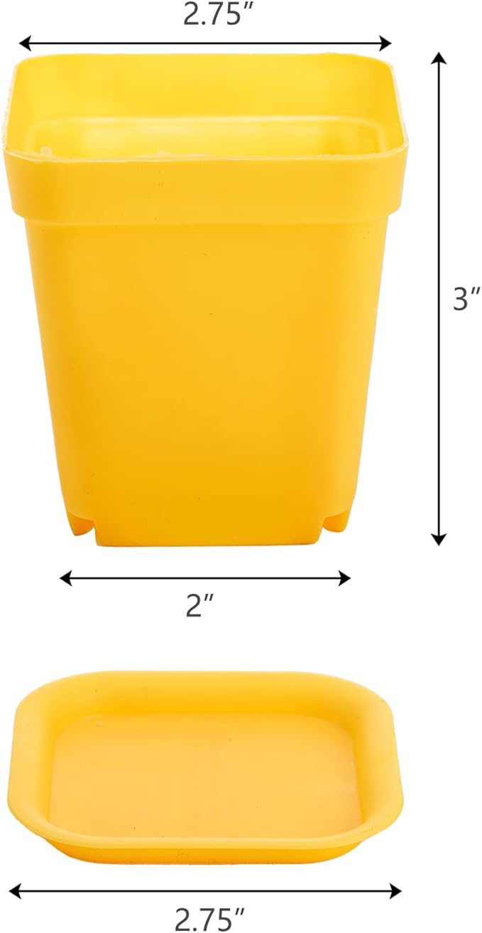 Hedume 70 Pack Mini Plastic Flower Seedling Nursery Pot with Pallet, 3" Colorful Square Plant Pot, Indoor Outdoor Flower Plant Container, Decor for Room, Garden, Office and Balcony (7 Colors)