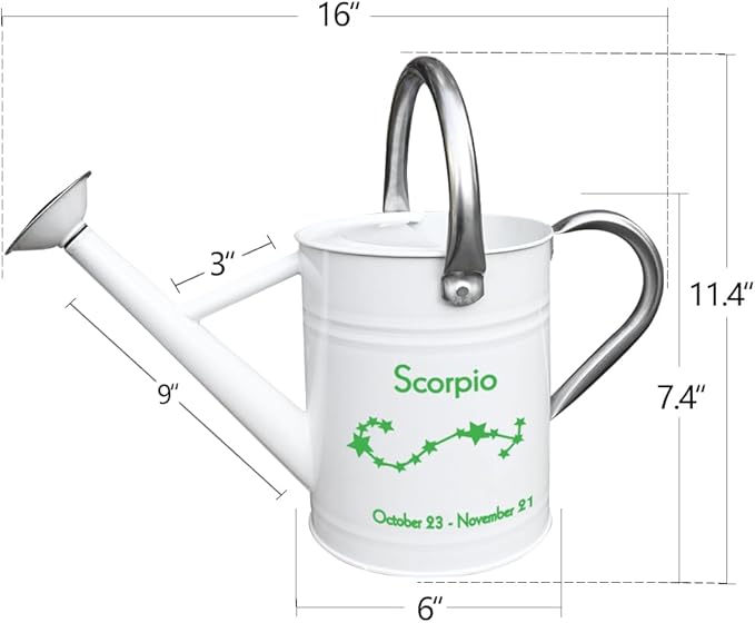 Metal Watering Can for Outdoor and Indoor Plants, Watering Can Decor, 1 Gallon (Scorpio)