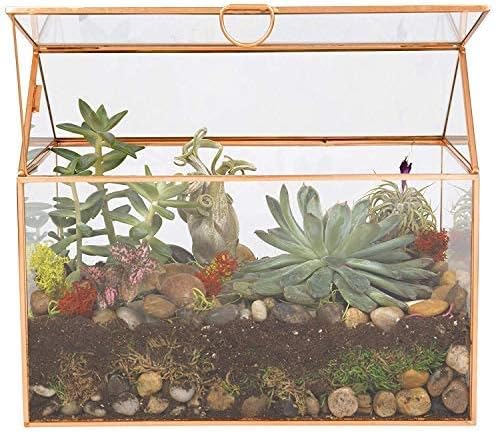 D'Eco Glass House Plant Terrarium (10"x6"x8") - Indoor Tabletop Gold Geometric Planter Terrarium for Succulents, Air Plants, Moss - Home, Garden, Wedding & Office Decor - Gift for Plant Lovers