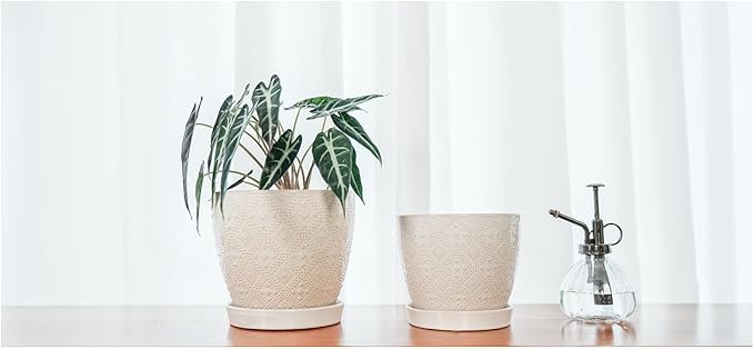 Docrin Ceramic Plant Pots Indoor: 6.6 + 5.5 Inch Planters with Drainage Holes and Saucer for Home/Office - Set of 2 /White