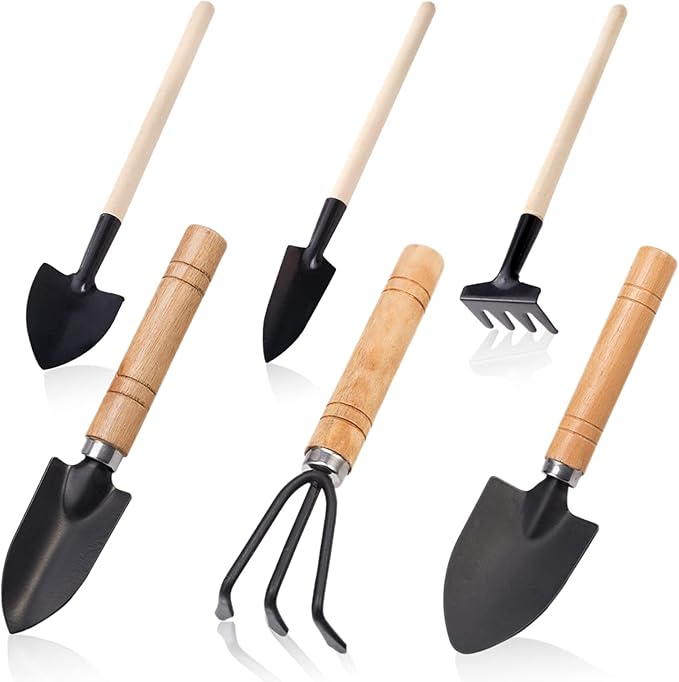 Small Garden Tool Set, 6 Pieces Iron Gardening Kit Including Hand Shovel, Transplant Shovel and Hand Rake with Wood Non-Slip Handle Perfect for Plant Lovers