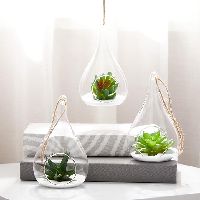 Juvale 5-Pack Hanging Glass Terrarium Containers - Air Plant Holder, Succulent Planter, Tea Light Candle Hangers (3.5x5 in)