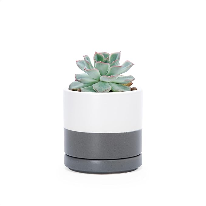 D'vine Dev 3.5 Inch Ceramic Planter Pot with Drainage Hole and Saucer, Indoor Cylinder Round Planter Pot, White/Speckled Grey, 94-O-A-6