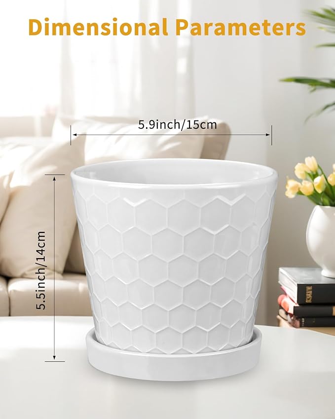 EFISPSS Ceramic Plant Pots, 6 Inch Pots for Indoor Plants, Planters with Drainage Hole and Saucer, Flower Pots Desktop Office Windowsill Decoration Gift Set of 2 - White