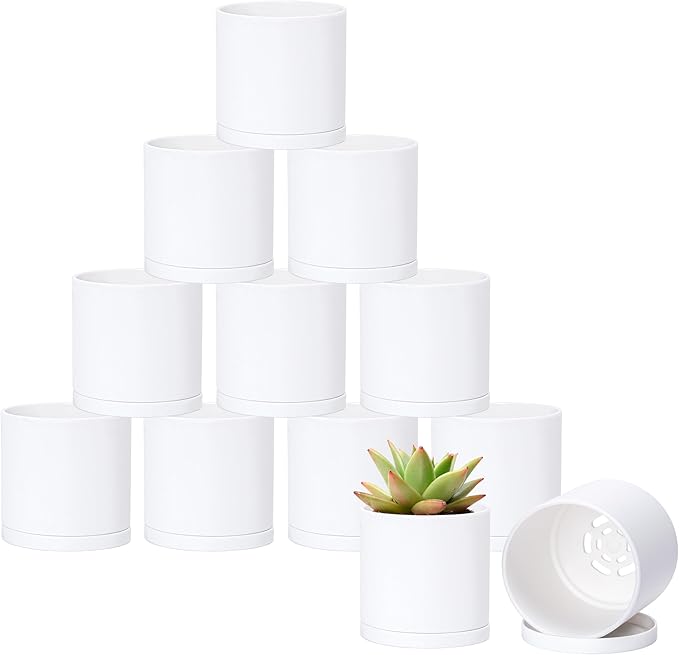 D'vine Dev 12 Pack 3.5 Inch Mini Plastic Plant Pots, Small Garden Planters for Plant with Drainage Holes and Saucers, White Color, 74-Z-D-4
