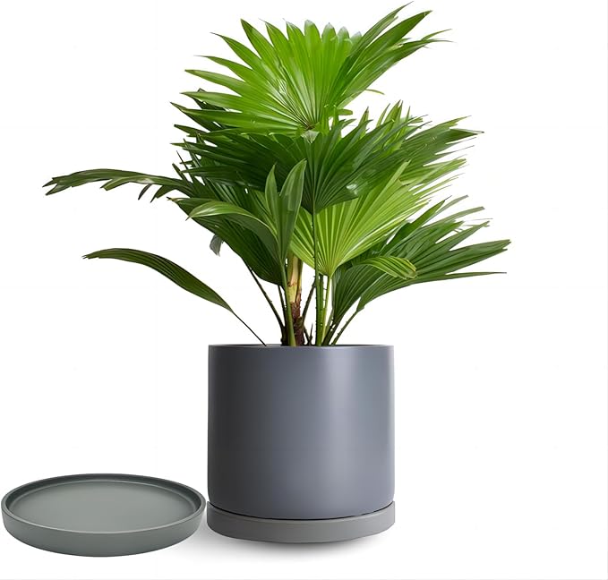 2 Pack Ceramic Plant Saucer Pot Tray 6 Inch, Planter Saucers 4 5 6 7 8 9 10 11 12 13 Inch for Indoors Outdoor, Durable Sturdy Flower Drainage drip Water Tray for Glazed Pots Base (6.4 Inch-Grey)