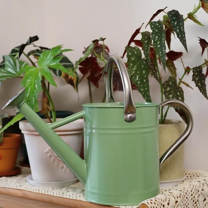 Metal Watering Can, One Gallon Watering Cans Stainless Steel for Outdoor Indoor Garden Plants Watering (Cream Green)
