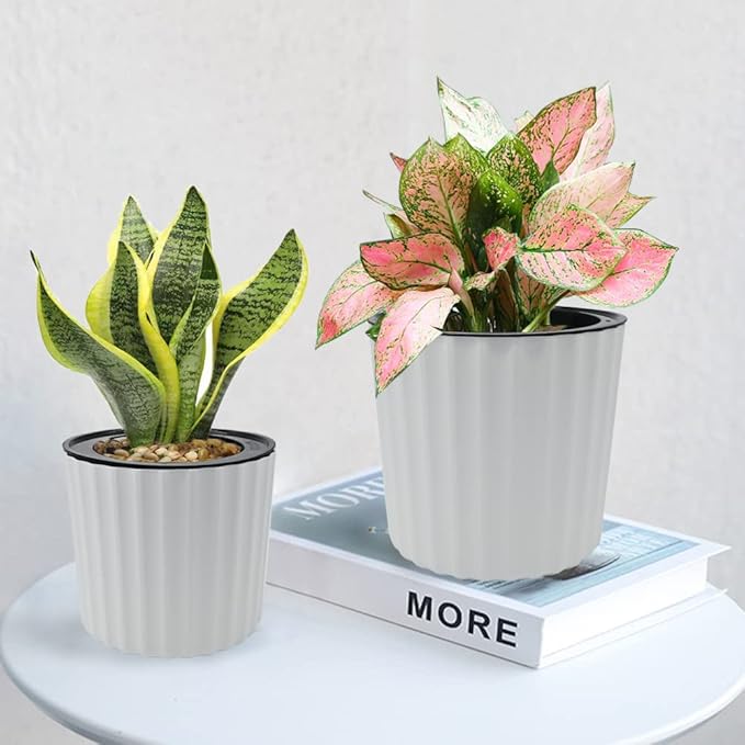 MUZHI Orchid Pot with Slotted Mesh and Holes, Plastic Round Self Watering Planter for Indoor Plants,Flowers,Herbs 3sets and 2sizes, White 7 inch